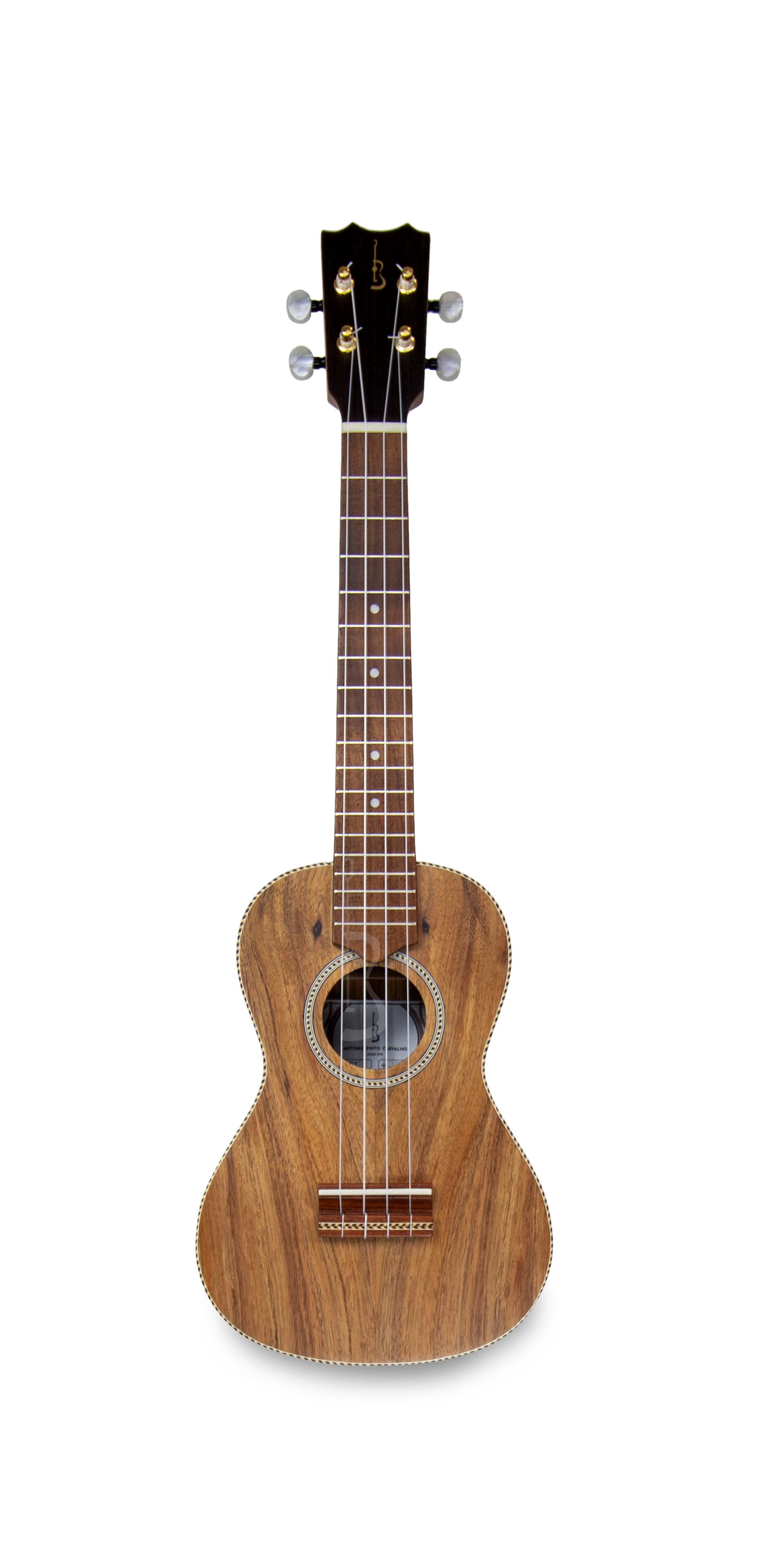 APC CT Concerto Tradicional