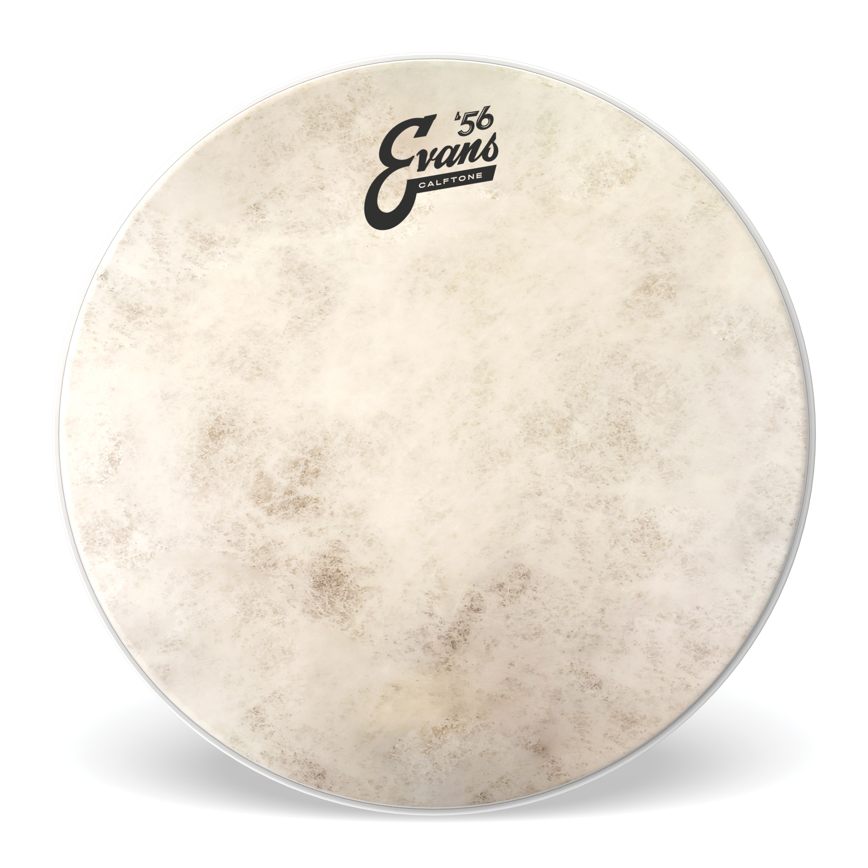 Evans Calftone 16" Tom Batter