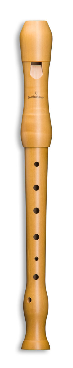 Mollenhauer Student 1003